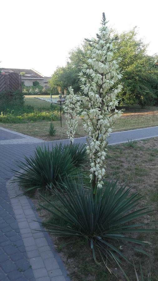 Apartament Wolin Nad Woda Kolo Miedzyzdrojow Luaran gambar